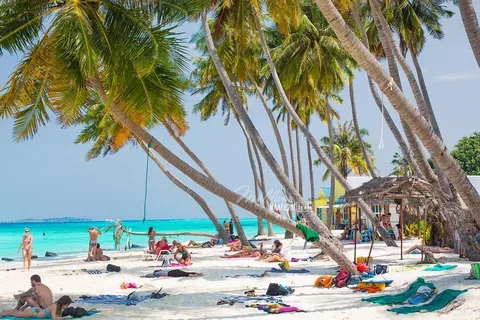 Maldives – Maafushi Island -4 Nights / 5 Days